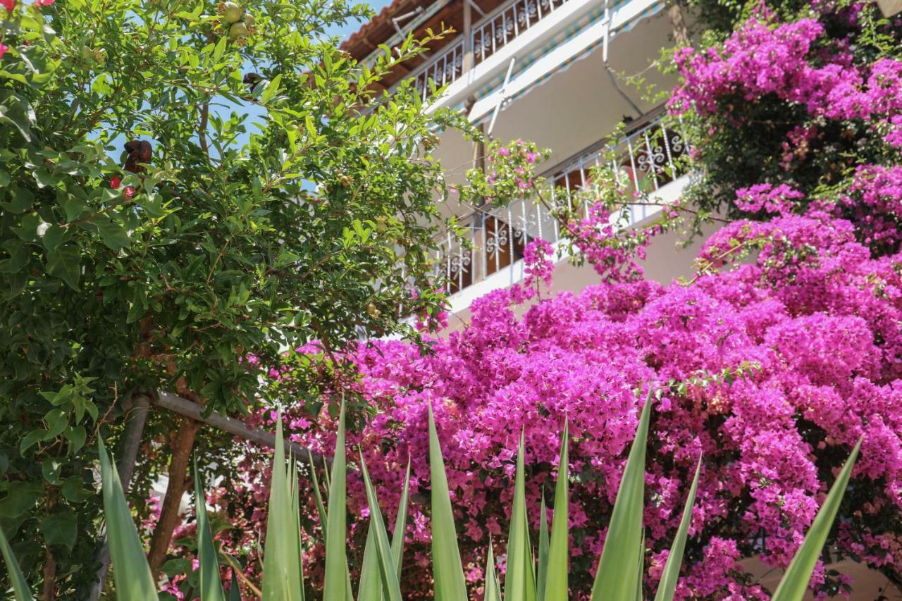 Vaya Zorba Studios Skiathos stad Exteriör bild